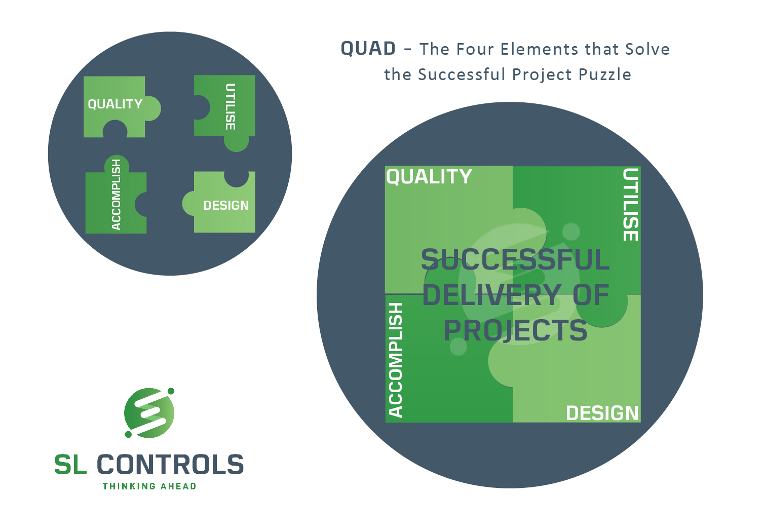 QUAD - the Four Elements that Solve the Successful Project Puzzle