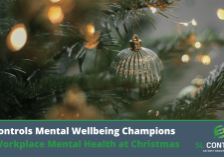 SL Controls Mental Wellbeing Champions on Workplace Mental Health at Christmas